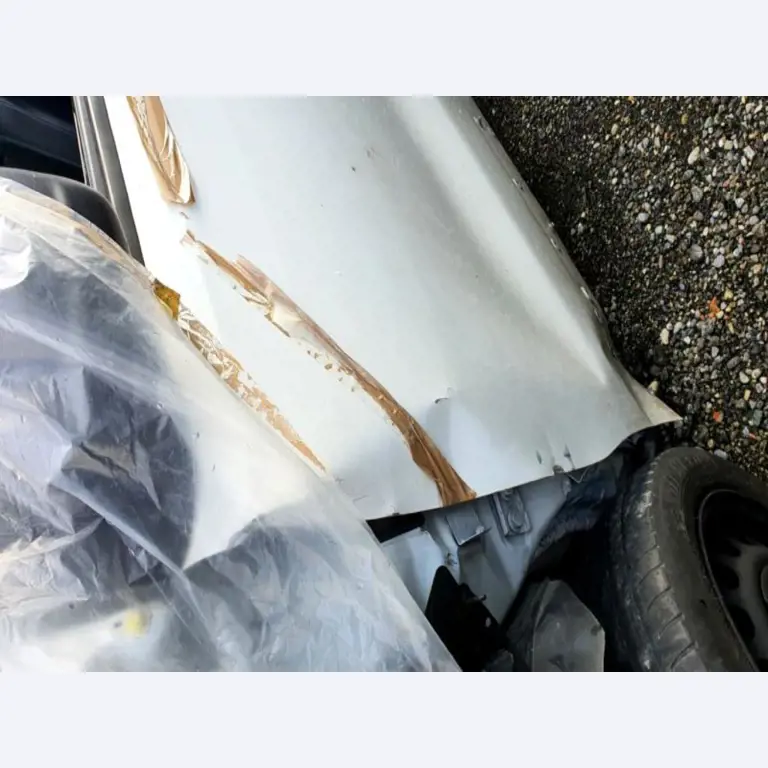 Transportistas y vehículos-20