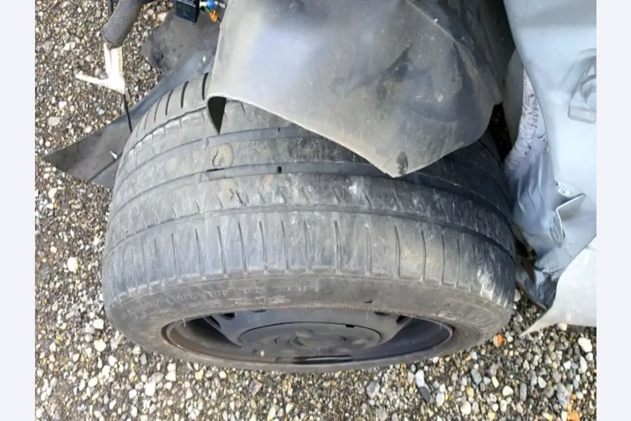 Transportistas y vehículos-22