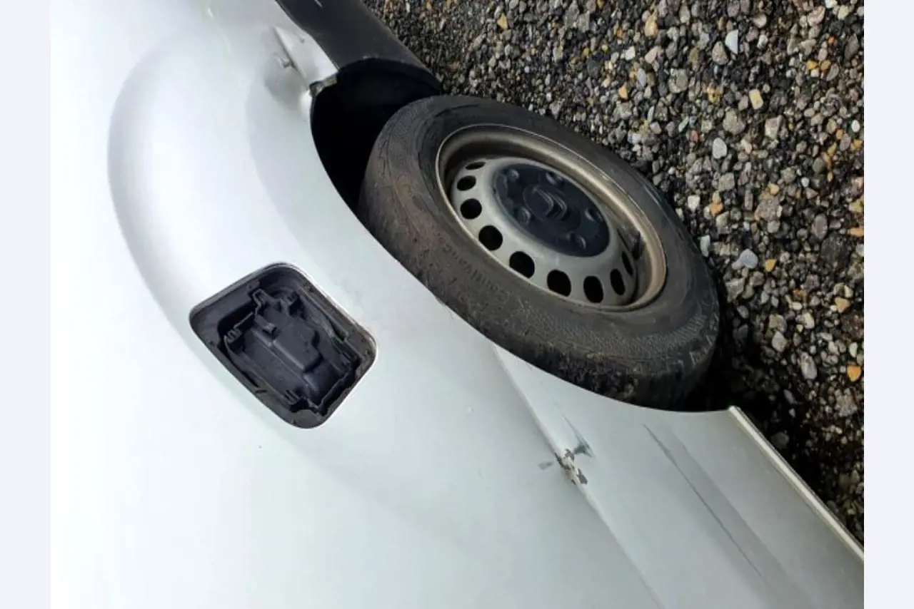 Transportistas y vehículos-23