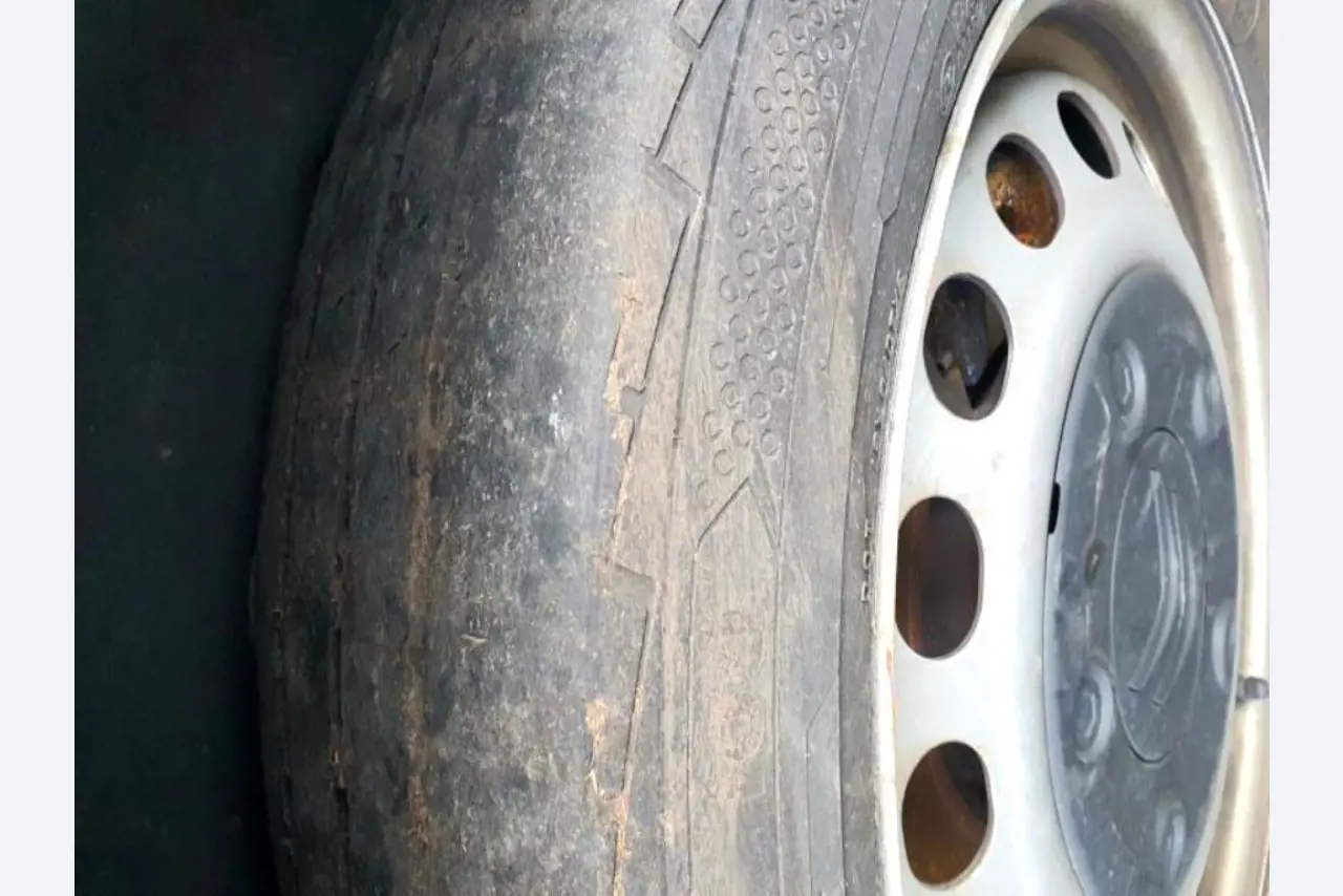 Transportistas y vehículos-24