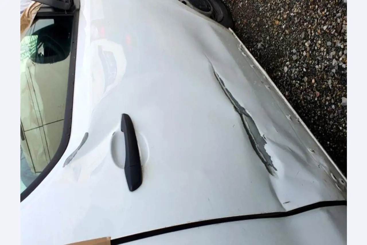 Transportistas y vehículos-28