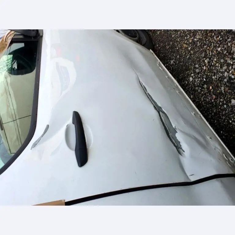 Transportistas y vehículos-28