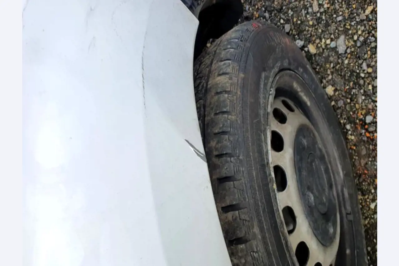 Transportistas y vehículos-29