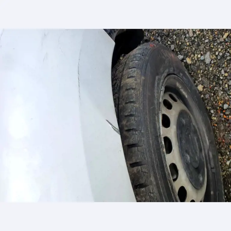 Transportistas y vehículos-29