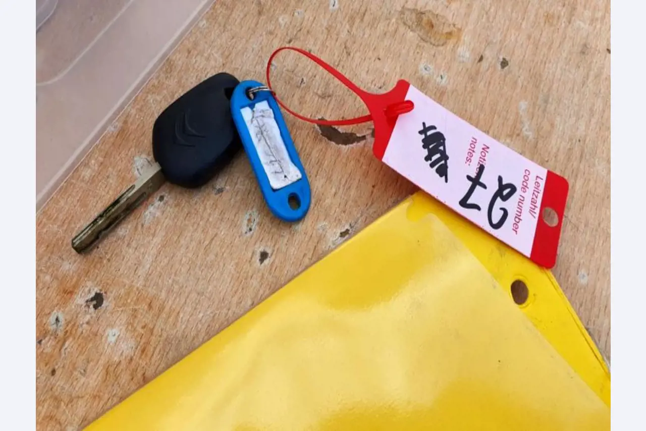 Transportistas y vehículos-3