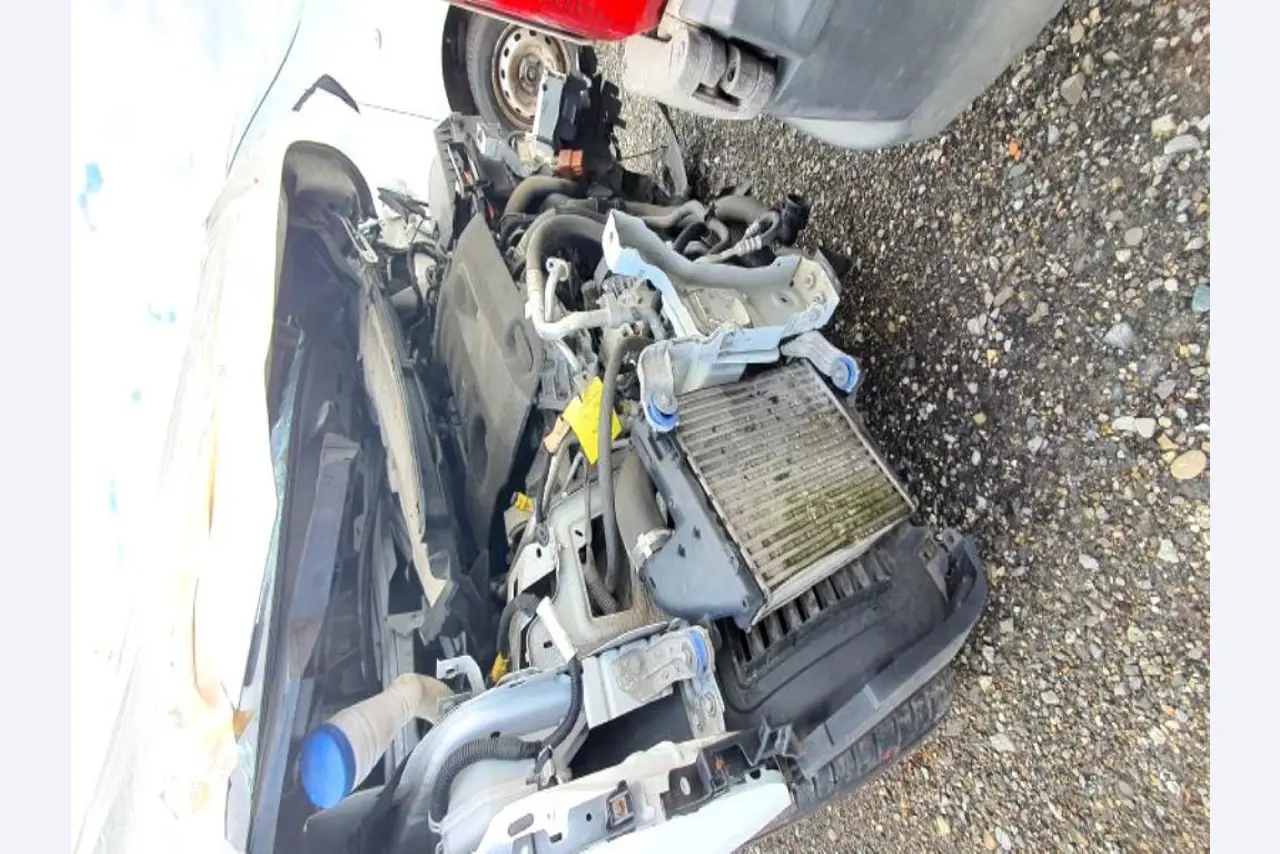 Transportistas y vehículos-4