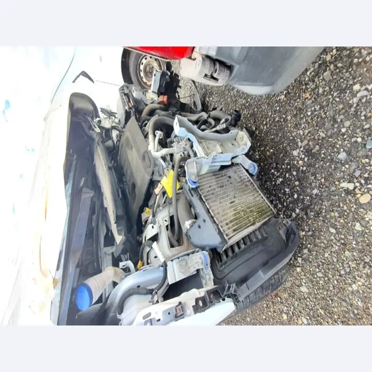 Transportistas y vehículos-4