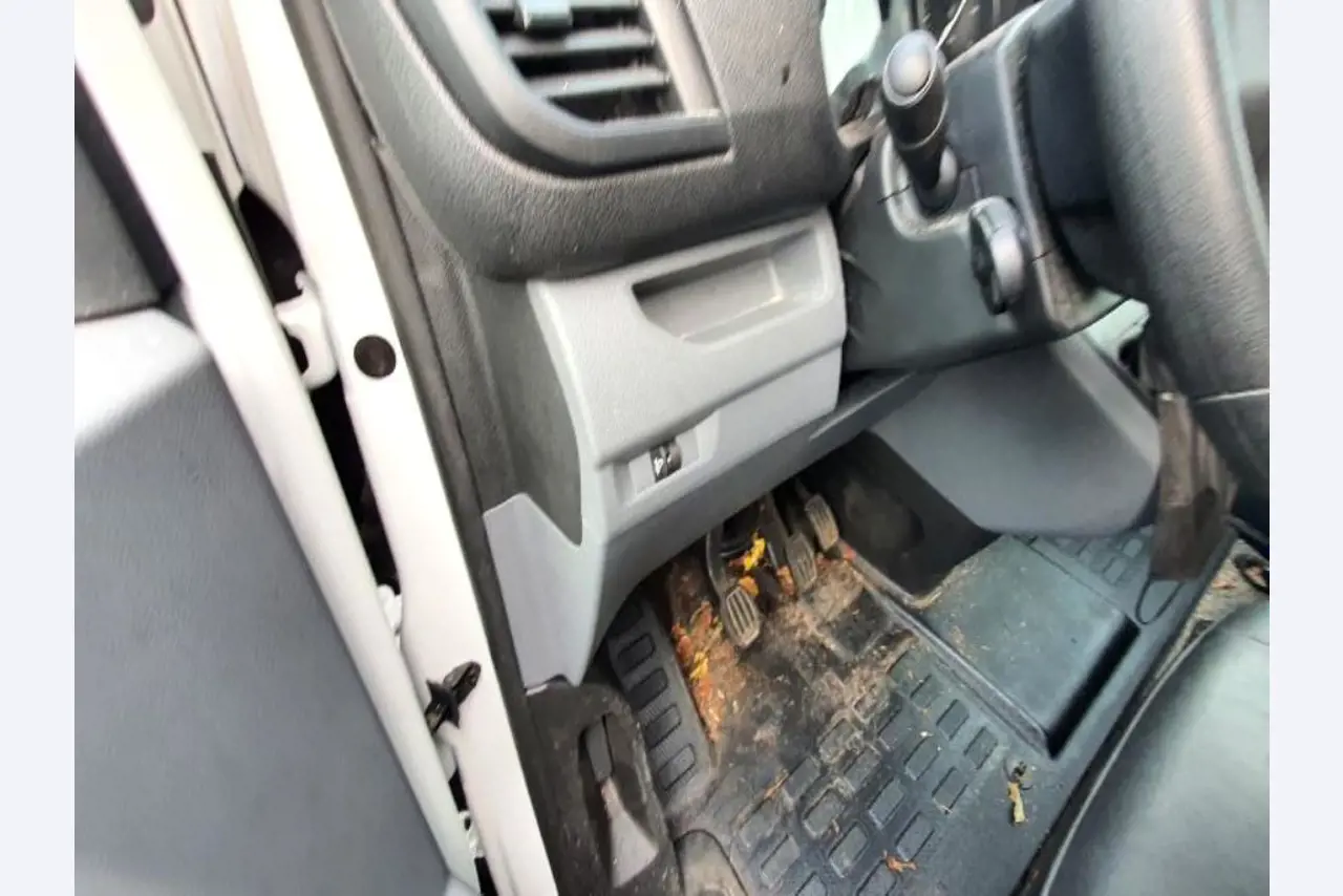 Transportistas y vehículos-15