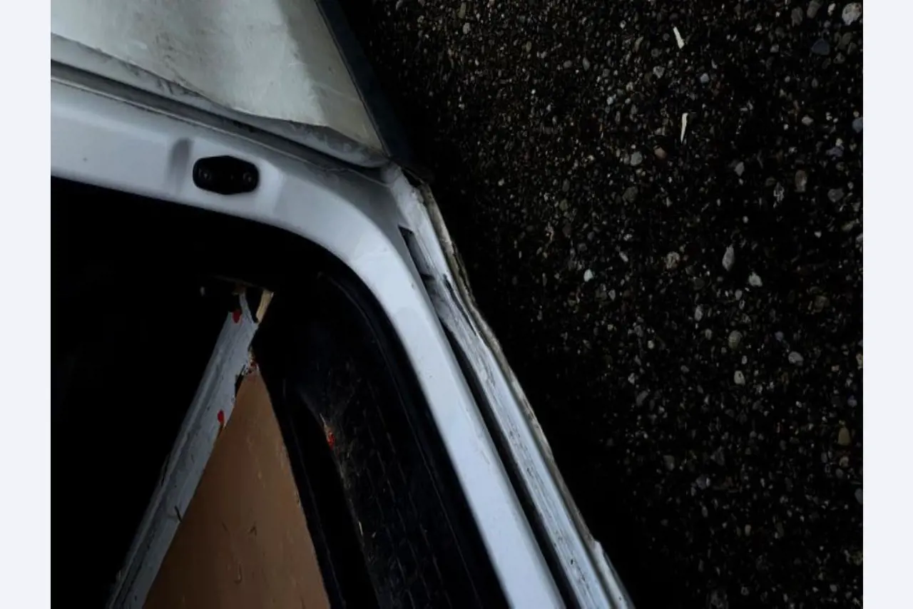 Transportistas y vehículos-23