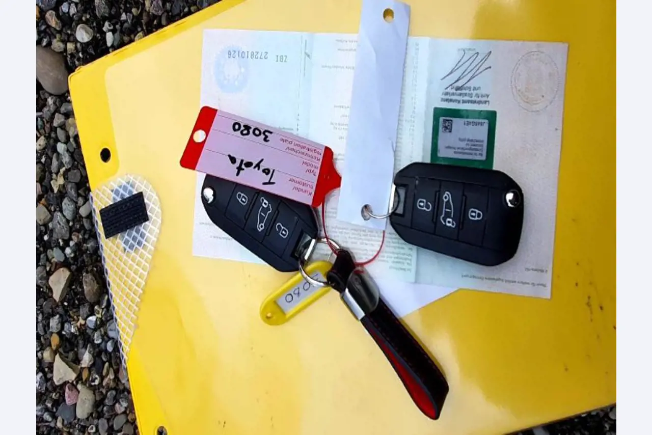 Transportistas y vehículos-3