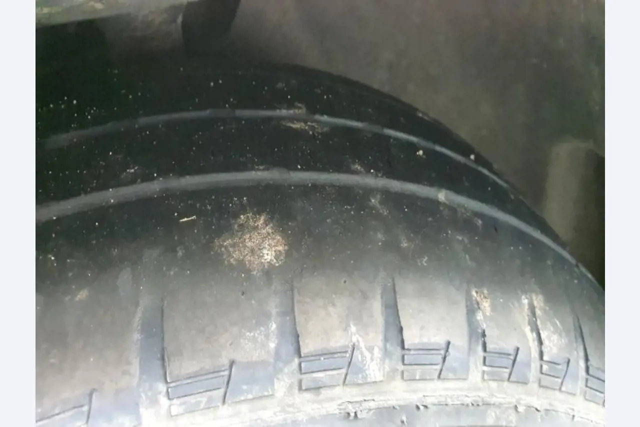 Transportistas y vehículos-39