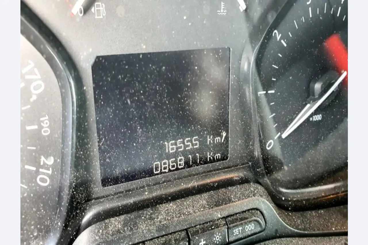 Transportistas y vehículos-4