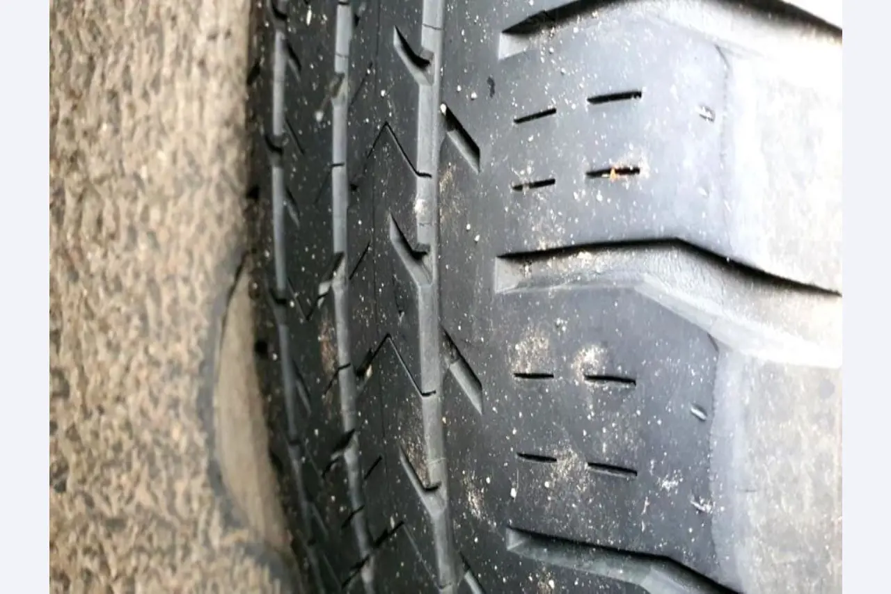 Transportistas y vehículos-41