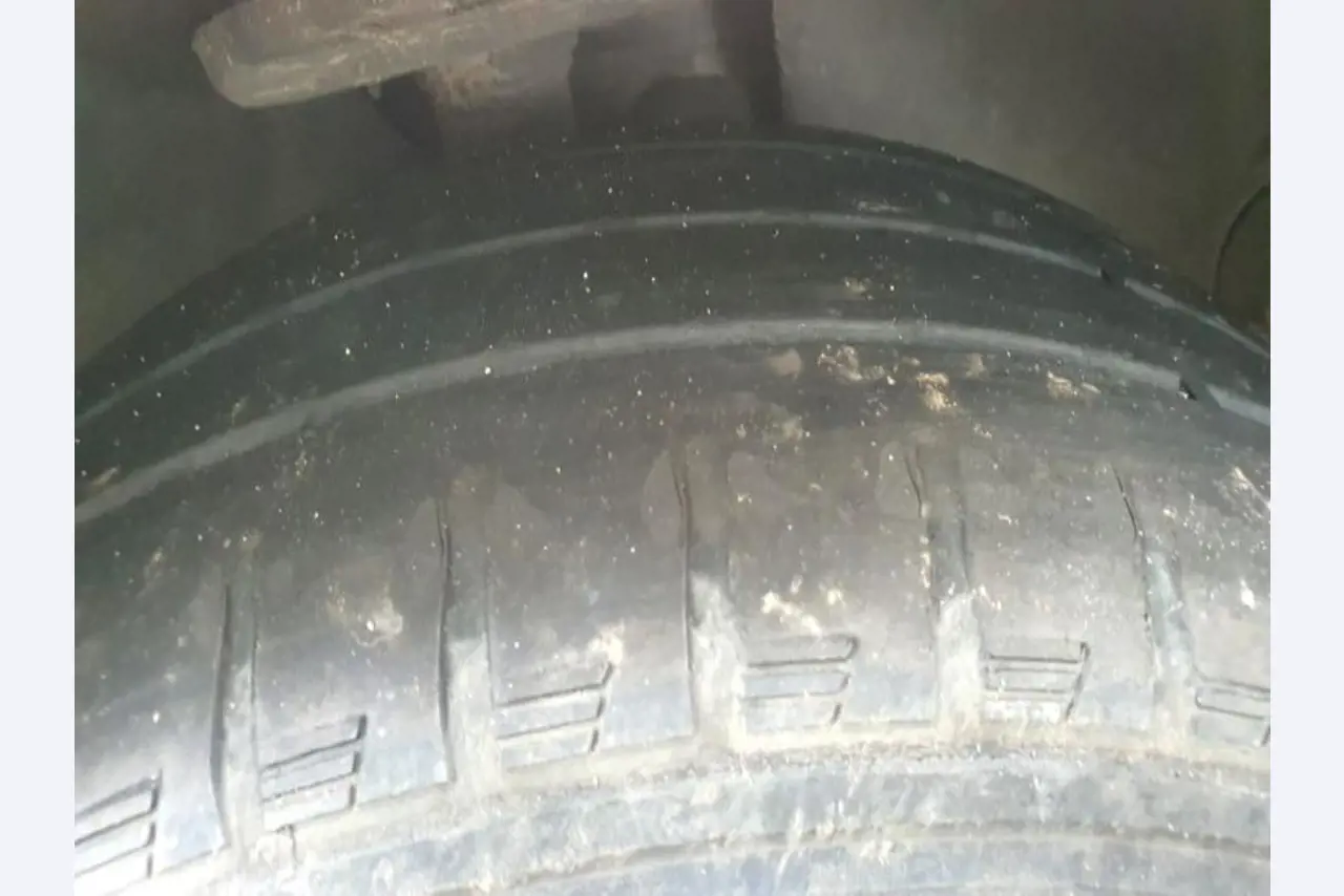 Transportistas y vehículos-42