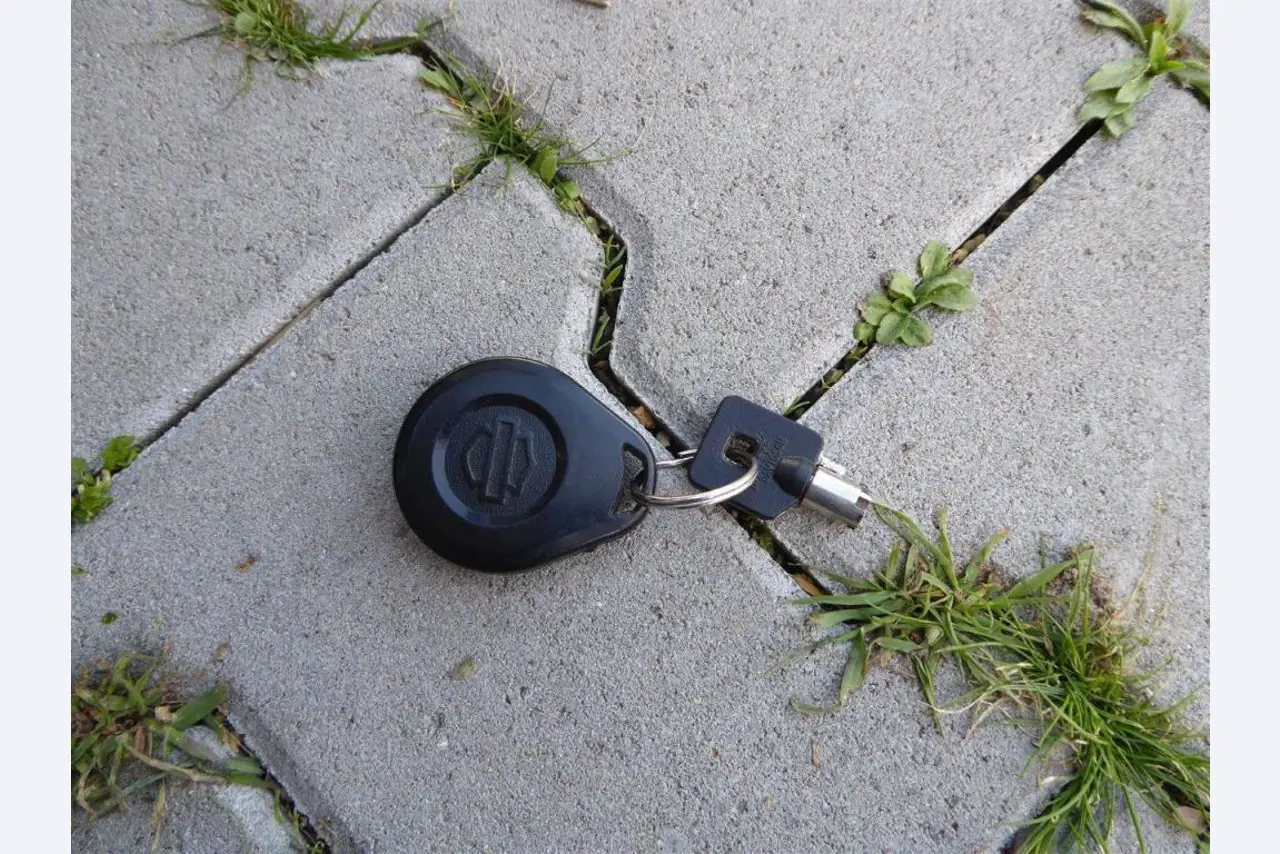 Reinigungsmaschinen und Büroausstattung-15