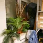 thumbnail-Cleaning machines and office equipment-2