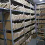 thumbnail-Printing and sorting machines-1