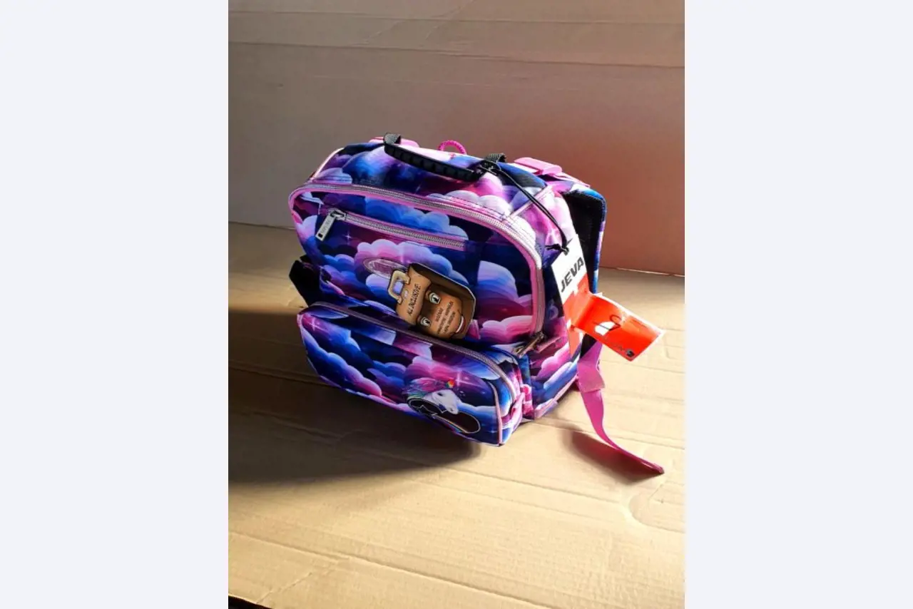 Satchels and school supplies-3