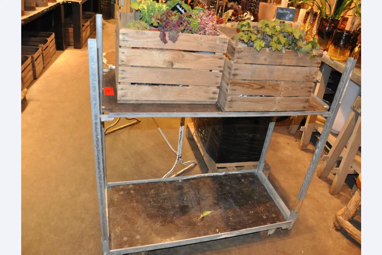 Dobře udržované vybavení obchodu a exkluzivní dekorativní předměty z květinového butiku-1