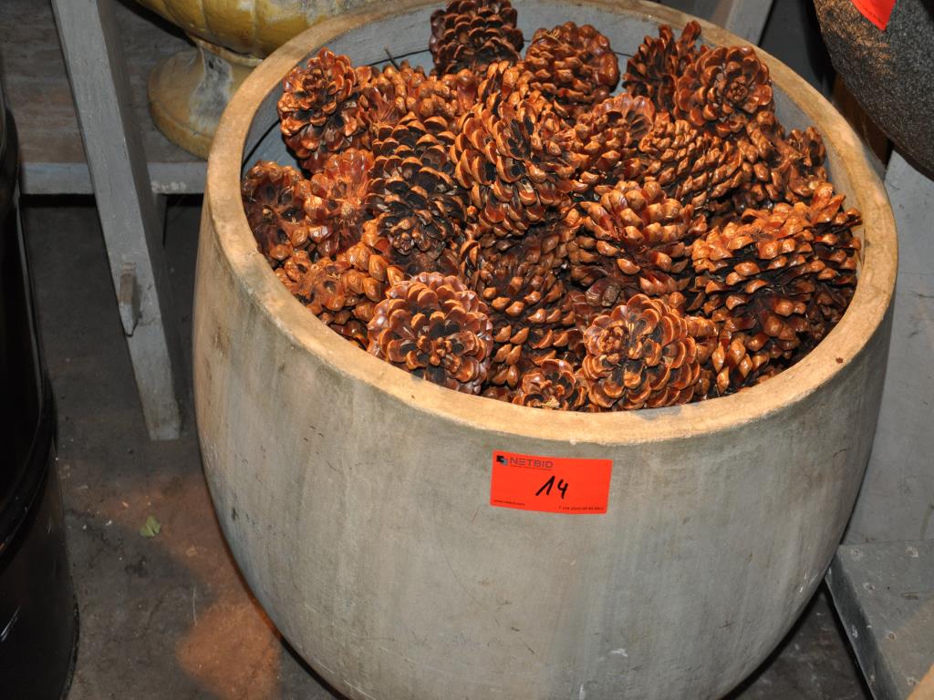 Dobře udržované vybavení obchodu a exkluzivní dekorativní předměty z květinového butiku-3