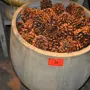 thumbnail-Gepflegte Ladeneinrichtung sowie exklusive Dekorationsartikel einer Blumenboutique-3