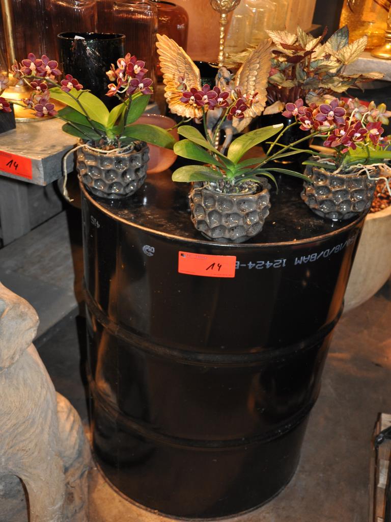 Dobře udržované vybavení obchodu a exkluzivní dekorativní předměty z květinového butiku-5