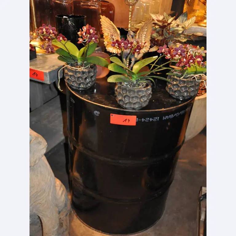 Well-maintained shop furnishings and exclusive decorative articles of a florist shop-5