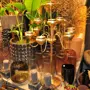 thumbnail-Gepflegte Ladeneinrichtung sowie exklusive Dekorationsartikel einer Blumenboutique-8