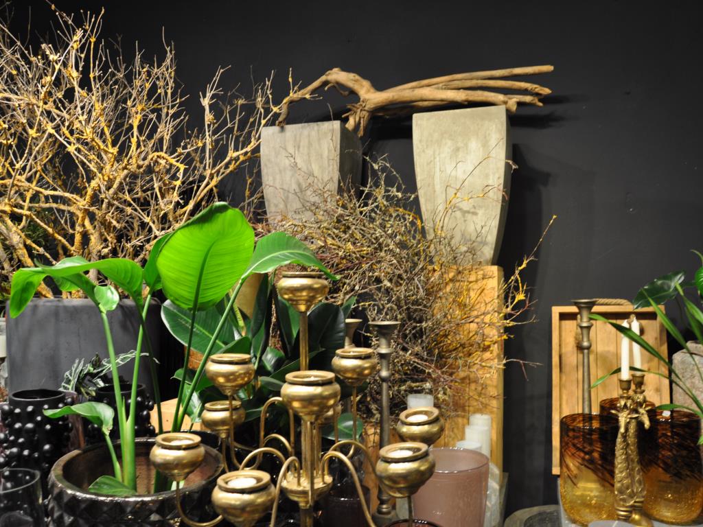 Dobře udržované vybavení obchodu a exkluzivní dekorativní předměty z květinového butiku-9