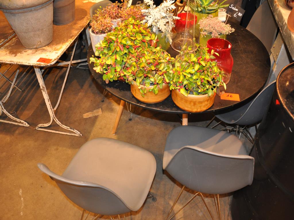 Dobře udržované vybavení obchodu a exkluzivní dekorativní předměty z květinového butiku-1