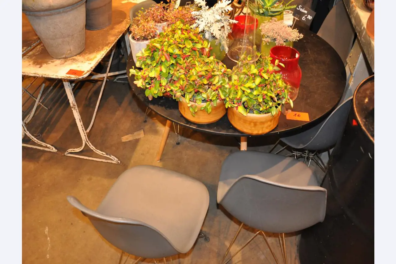 Aménagement soigné du magasin et articles de décoration exclusifs d'une boutique de fleurs-1