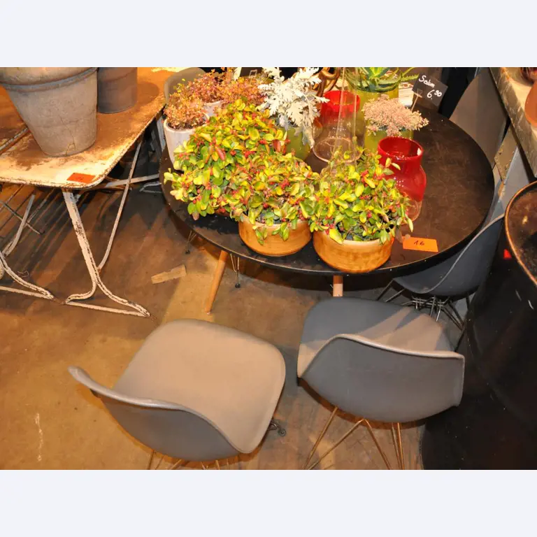 Aménagement soigné du magasin et articles de décoration exclusifs d'une boutique de fleurs-1