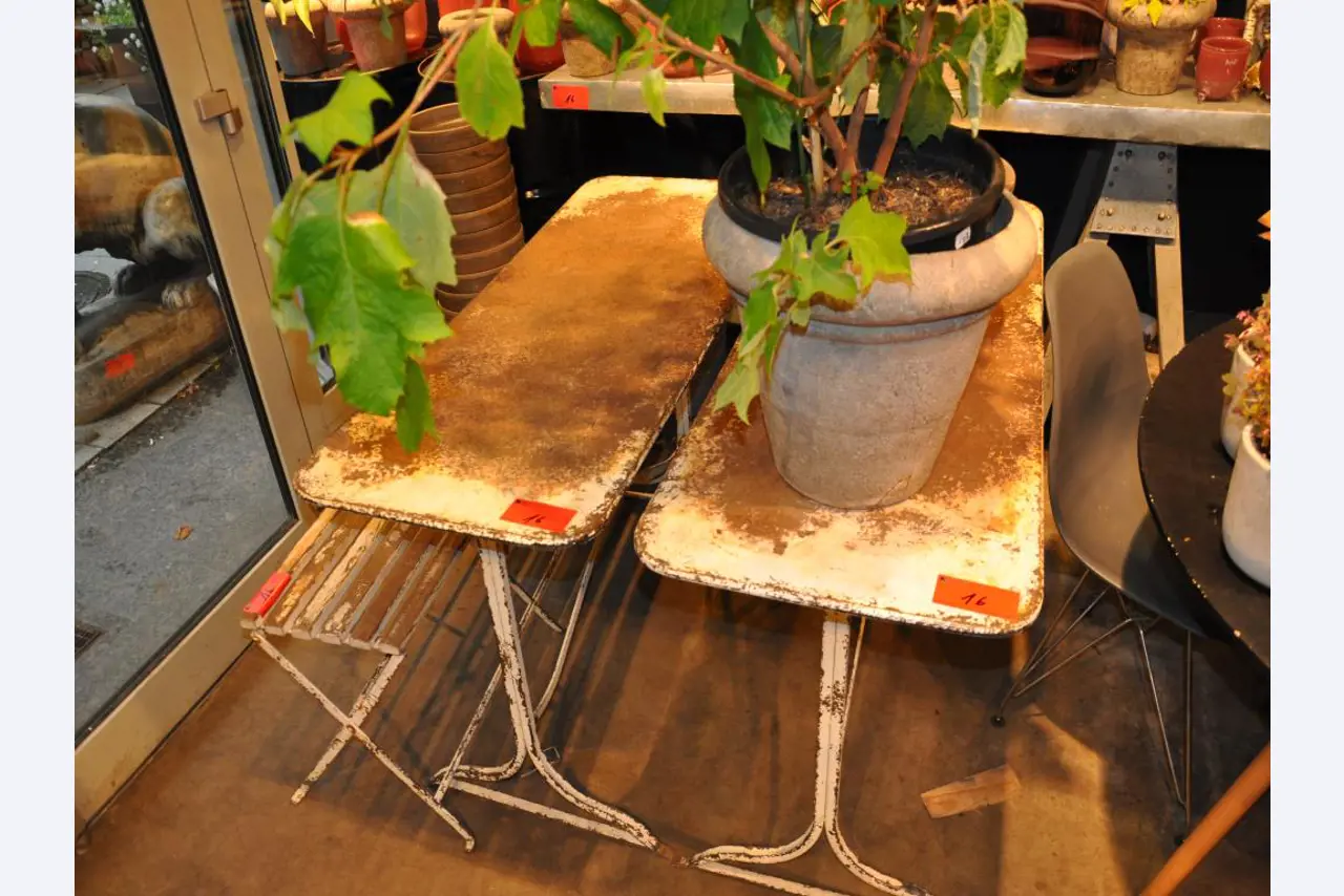 Aménagement soigné du magasin et articles de décoration exclusifs d'une boutique de fleurs-2