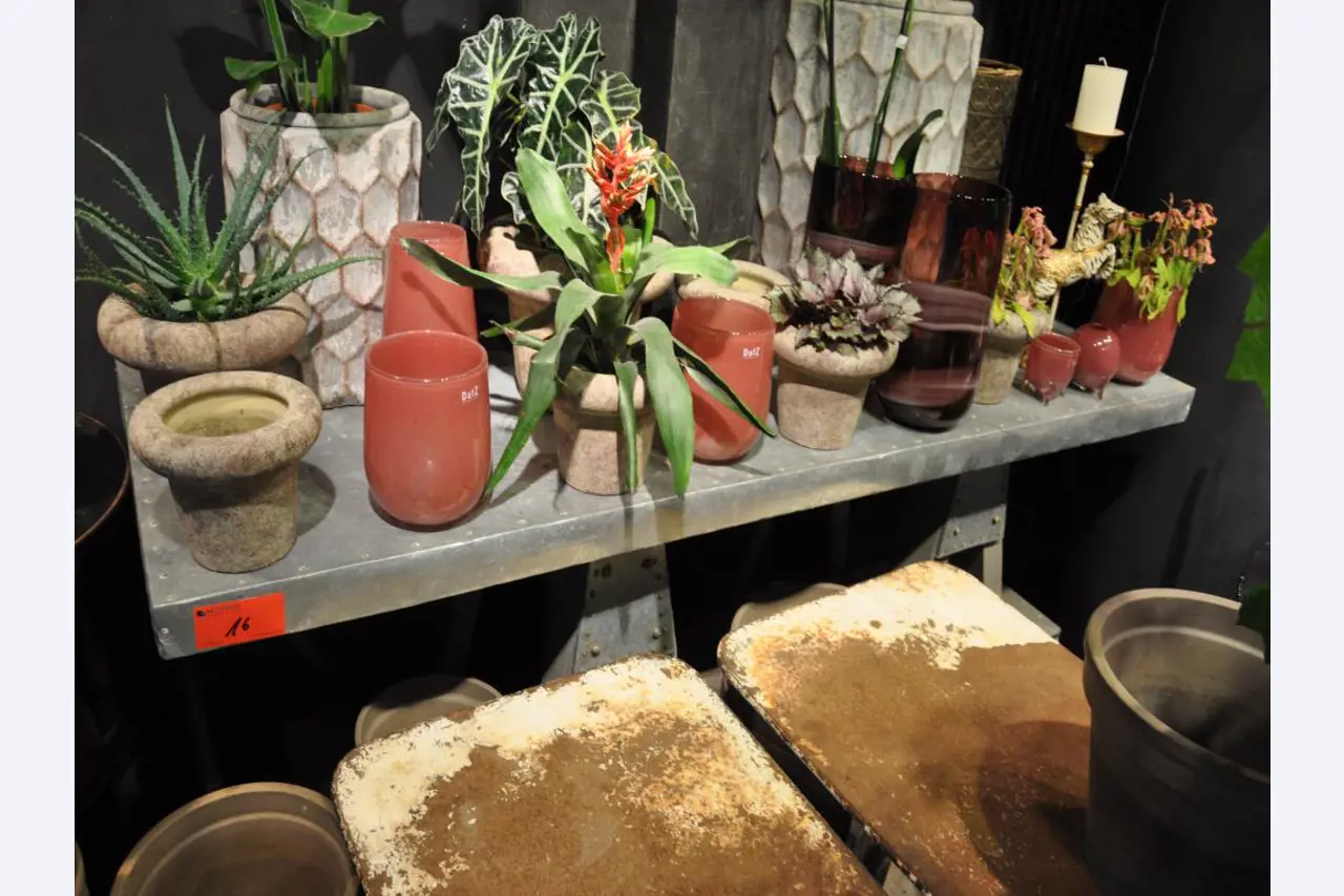 Aménagement soigné du magasin et articles de décoration exclusifs d'une boutique de fleurs-4