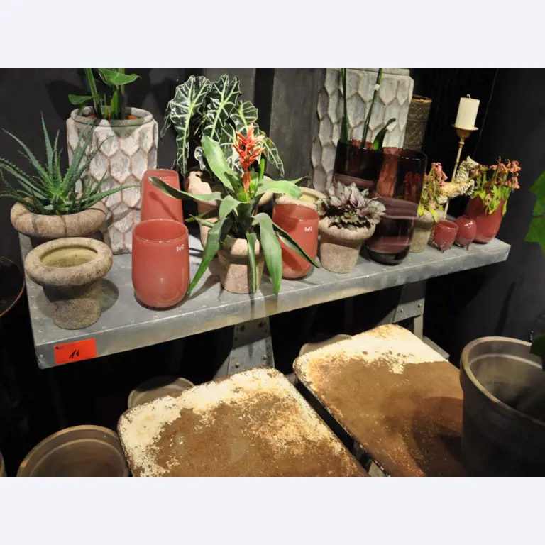 Aménagement soigné du magasin et articles de décoration exclusifs d'une boutique de fleurs-4