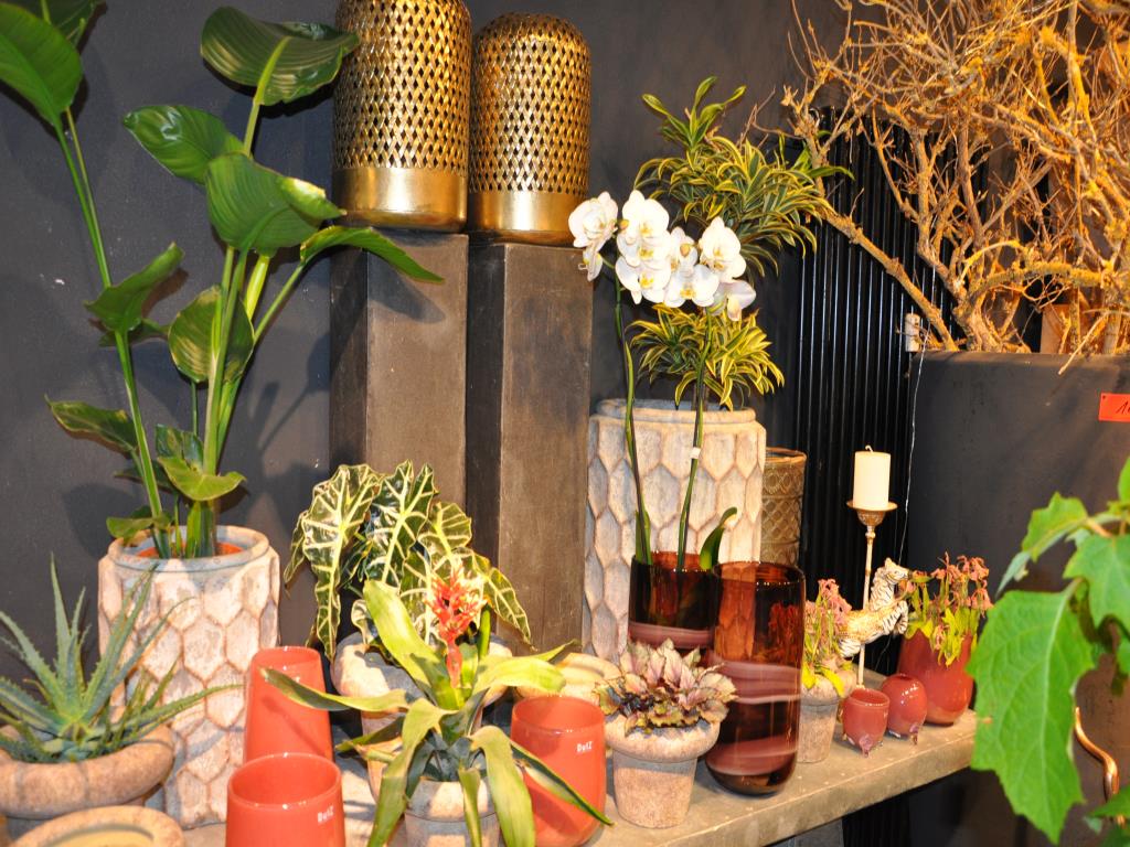 Dobře udržované vybavení obchodu a exkluzivní dekorativní předměty z květinového butiku-5