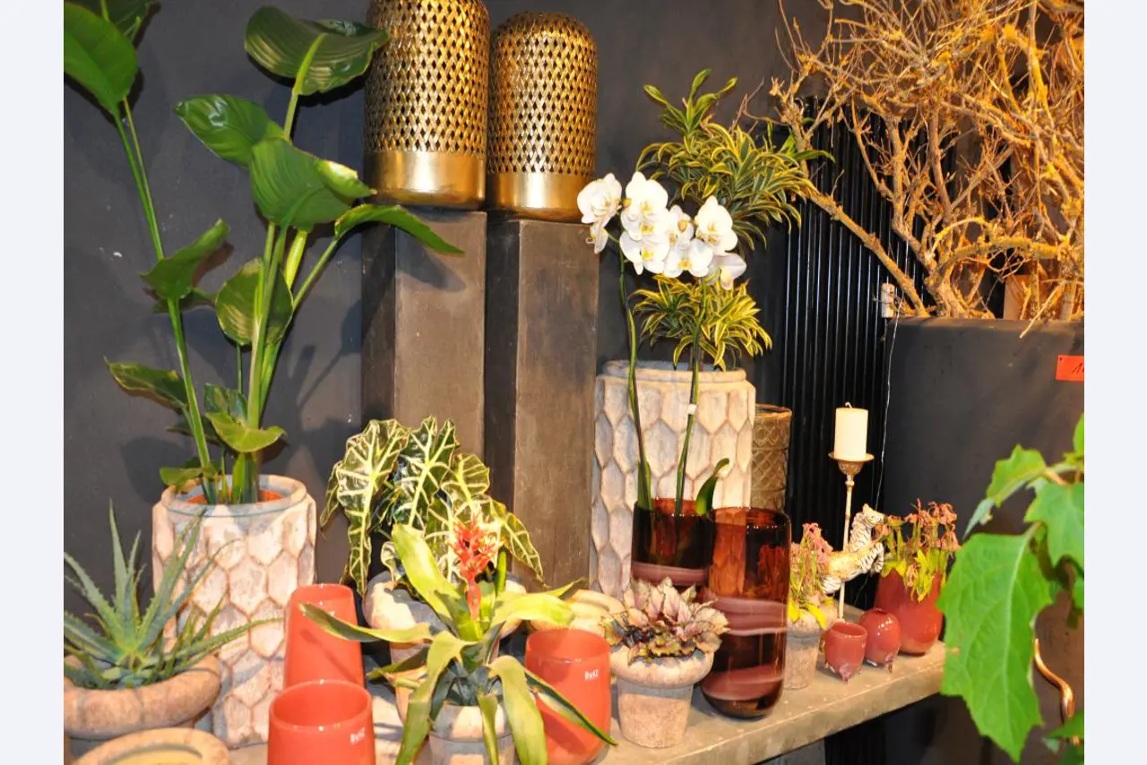Aménagement soigné du magasin et articles de décoration exclusifs d'une boutique de fleurs-5