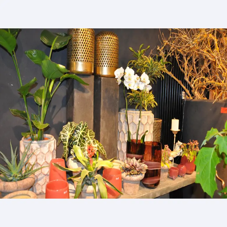 Aménagement soigné du magasin et articles de décoration exclusifs d'une boutique de fleurs-5