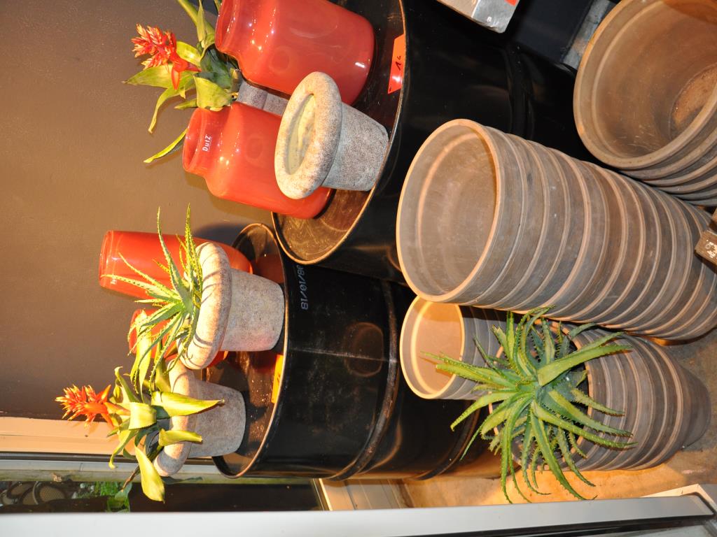 Dobře udržované vybavení obchodu a exkluzivní dekorativní předměty z květinového butiku-6