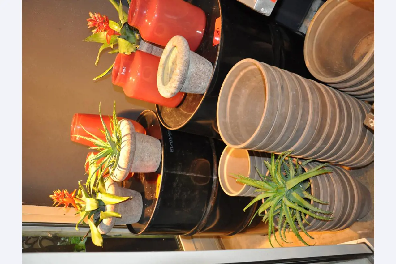 Aménagement soigné du magasin et articles de décoration exclusifs d'une boutique de fleurs-6