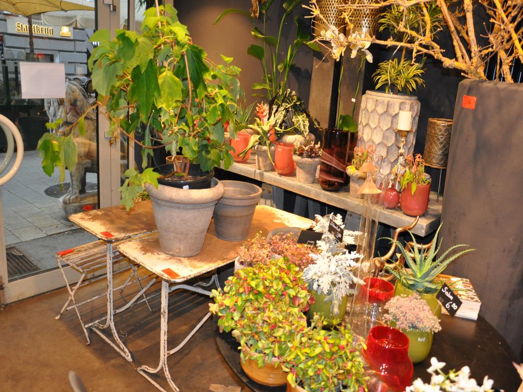 Dobře udržované vybavení obchodu a exkluzivní dekorativní předměty z květinového butiku-7