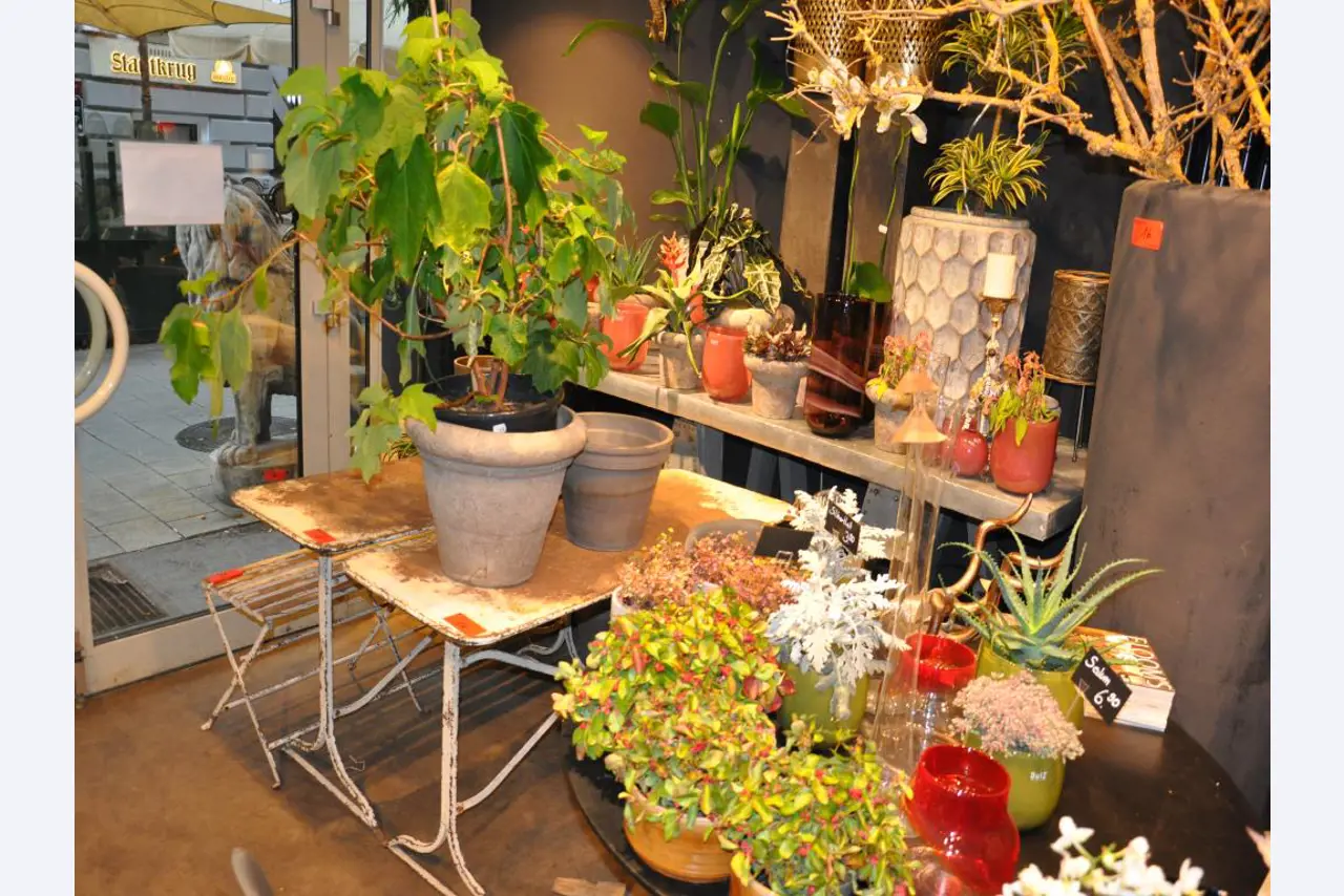 Aménagement soigné du magasin et articles de décoration exclusifs d'une boutique de fleurs-7