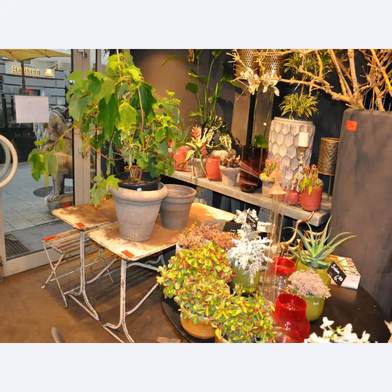 Aménagement soigné du magasin et articles de décoration exclusifs d'une boutique de fleurs-7