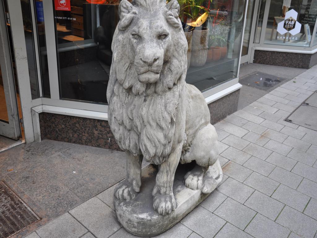 Equipamiento de tienda bien cuidado y artículos de decoración exclusivos de una boutique de flores-1