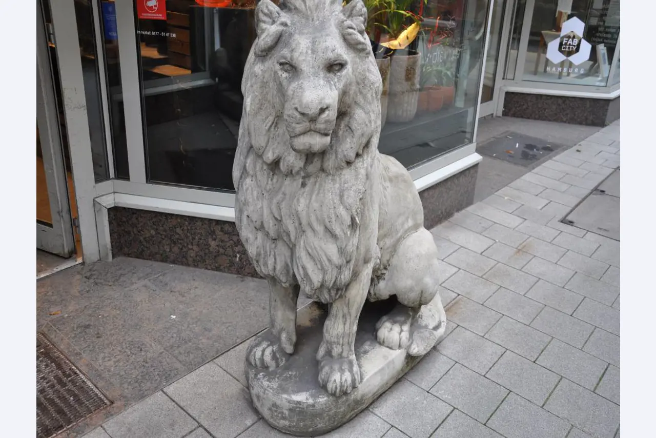 Dobře udržované vybavení obchodu a exkluzivní dekorativní předměty z květinového butiku-1