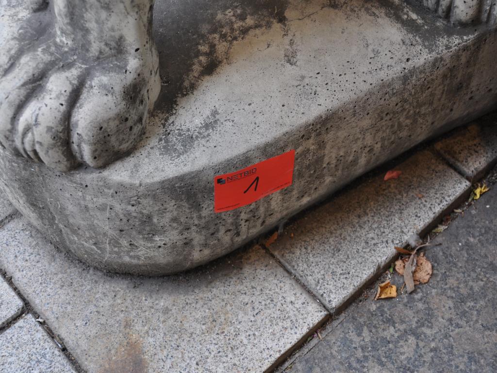 Equipamiento de tienda bien cuidado y artículos de decoración exclusivos de una boutique de flores-2