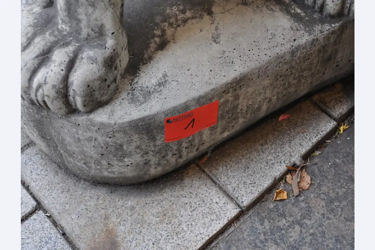 Dobře udržované vybavení obchodu a exkluzivní dekorativní předměty z květinového butiku-2