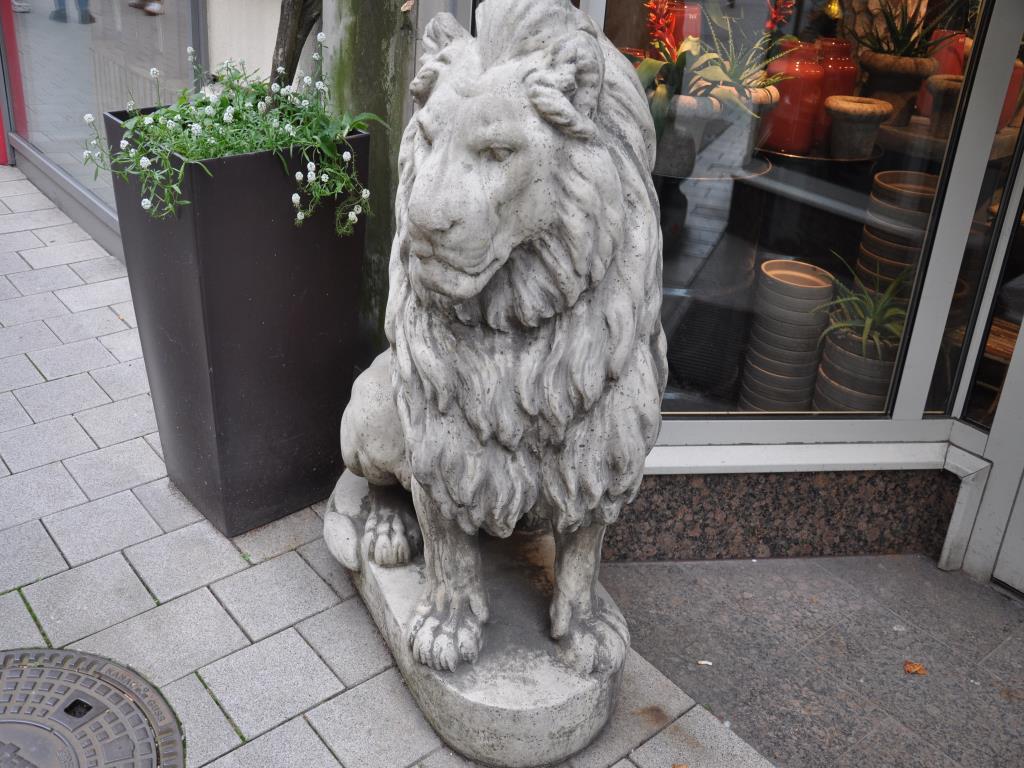 Equipamiento de tienda bien cuidado y artículos de decoración exclusivos de una boutique de flores-3