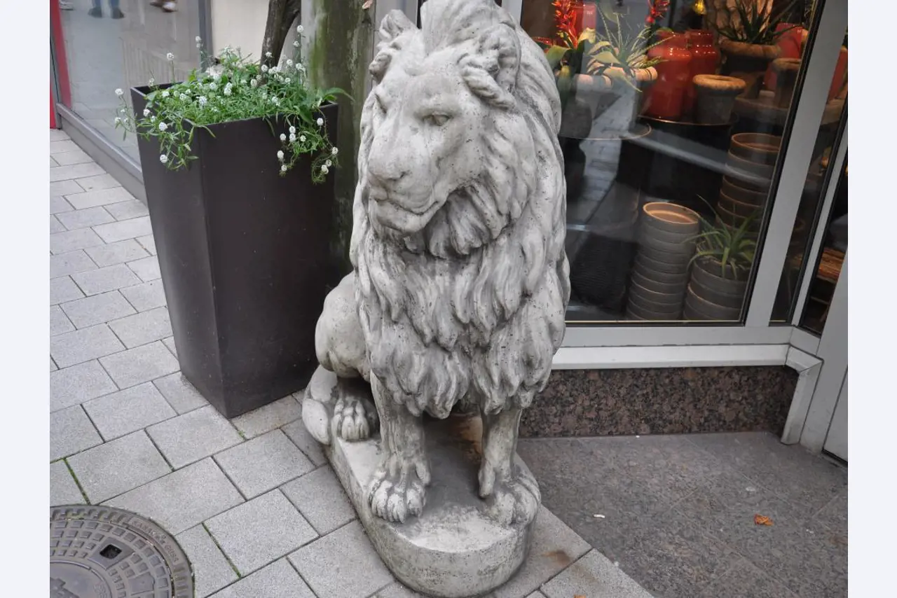 Dobře udržované vybavení obchodu a exkluzivní dekorativní předměty z květinového butiku-3