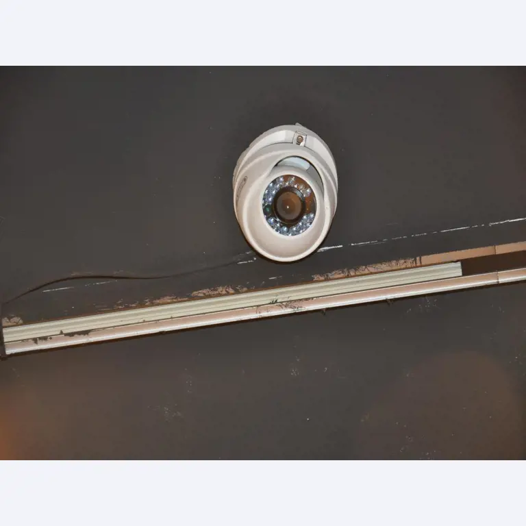 Gepflegte Ladeneinrichtung sowie exklusive Dekorationsartikel einer Blumenboutique-5